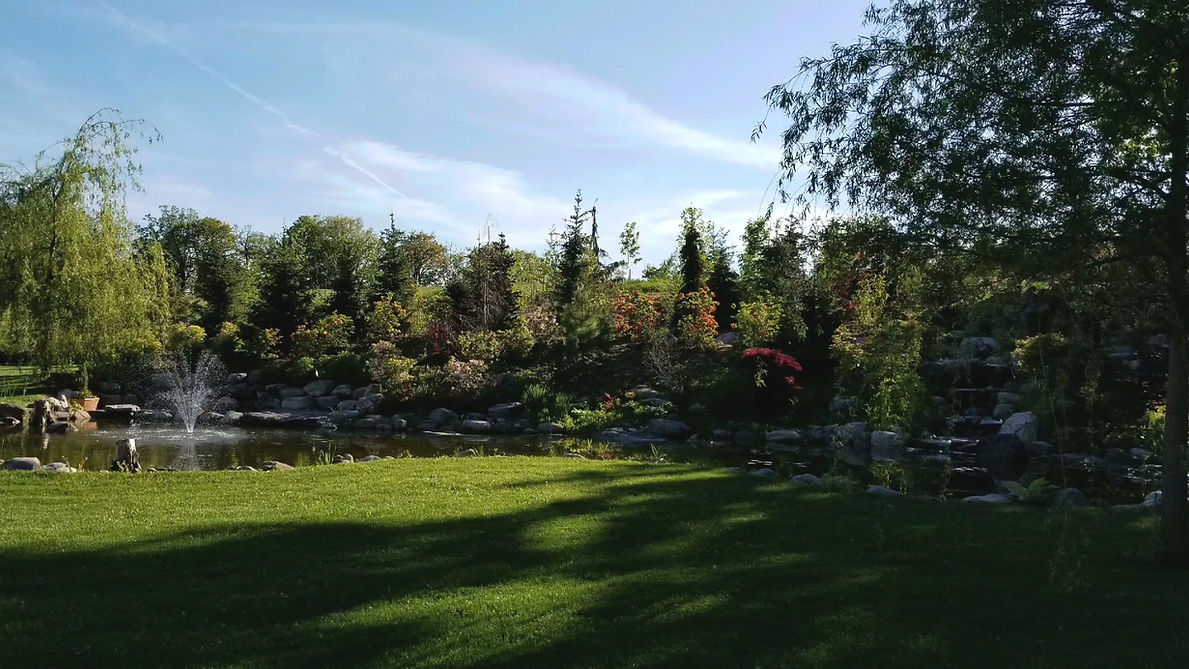 Koi pond and waterfall
